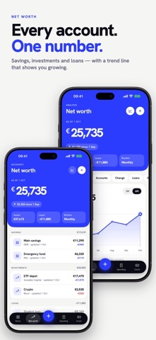 Budget & Net Worth: Investr — preview 2